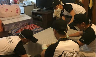 樂山精品搬家服務(wù)與室內(nèi)外裝飾工程設(shè)計(jì) 打造高品質(zhì)生活空間